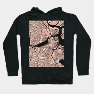 Boston Map Pattern in Soft Pink Pastels Hoodie